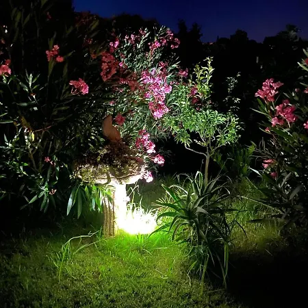 Les Figuiers فيلة كافالير سور مير