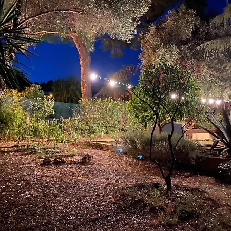 فيلة Les Figuiers *